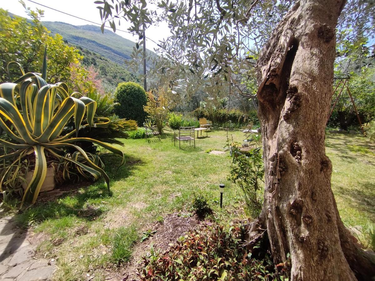 Casa Di Nin Lägenhet Torbole Sul Garda Exteriör bild