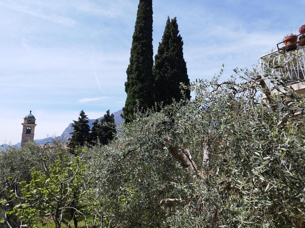 Casa Di Nin Lägenhet Torbole Sul Garda Exteriör bild