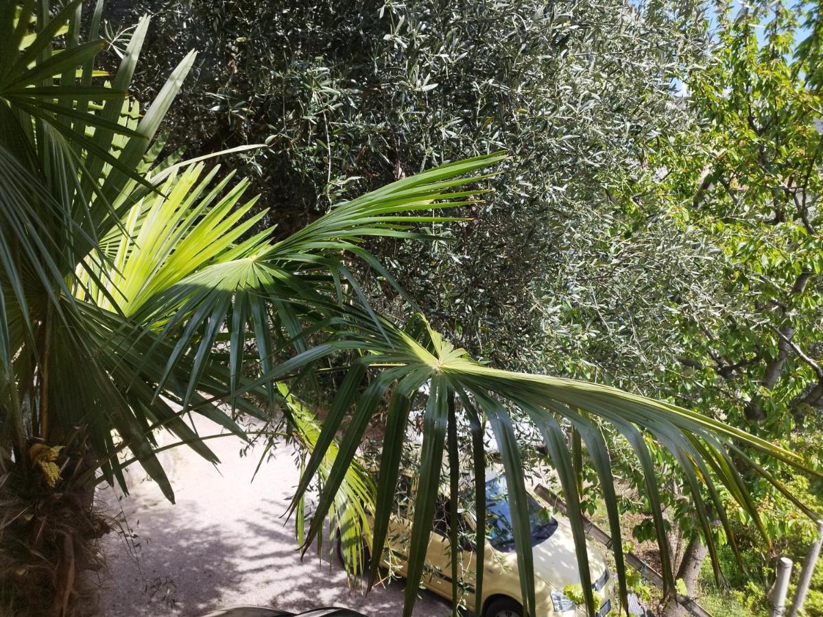 Casa Di Nin Lägenhet Torbole Sul Garda Exteriör bild
