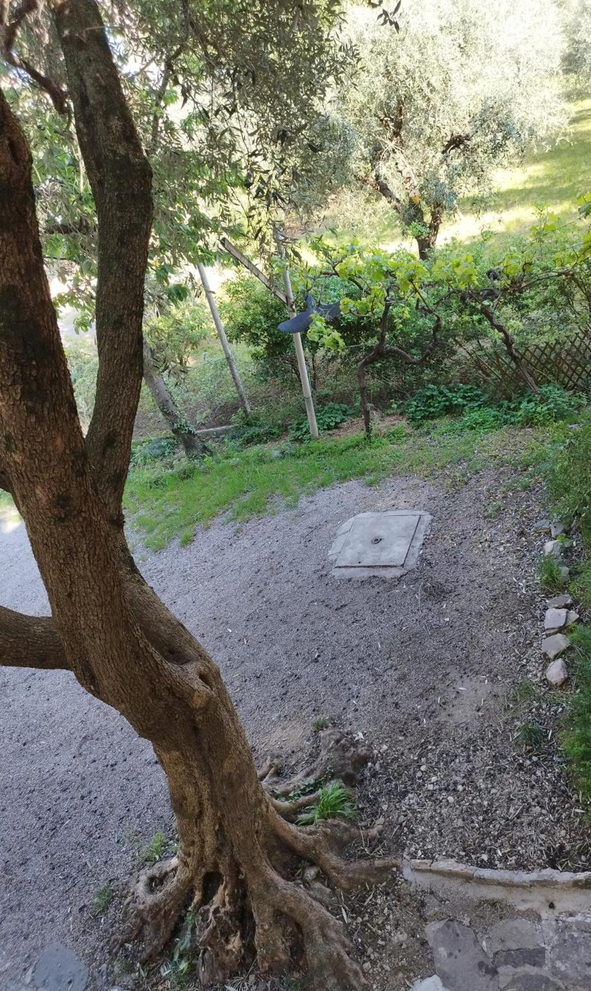 Casa Di Nin Lägenhet Torbole Sul Garda Exteriör bild